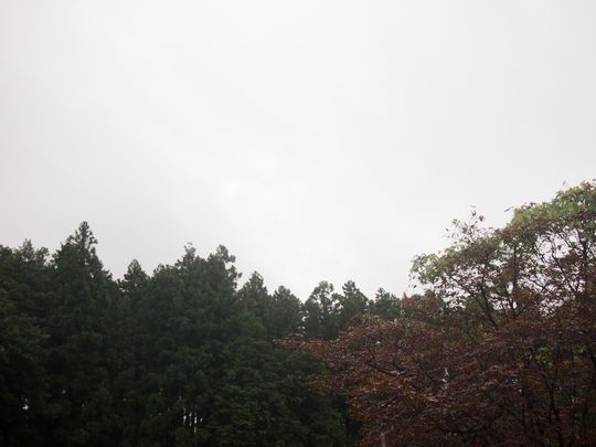 夏季休暇のお知らせ．．．