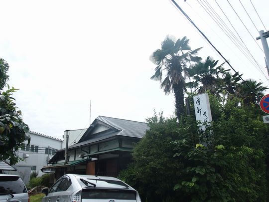 柔らかい光．．．