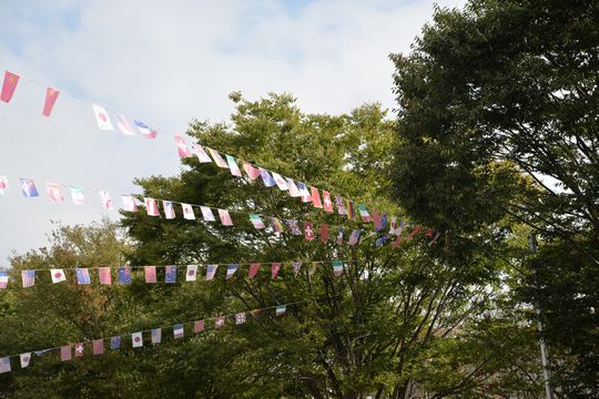 姫様運動会．．．