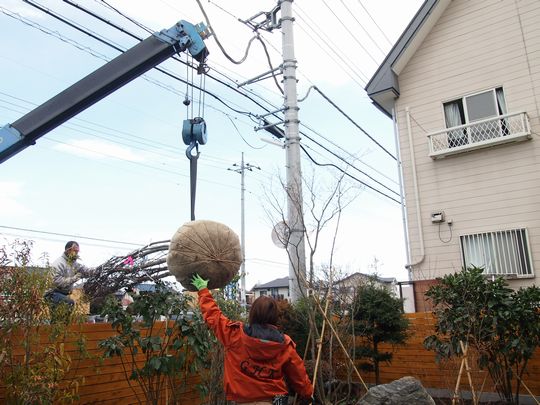 主役の登場．．．