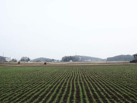 広がる景色．．．