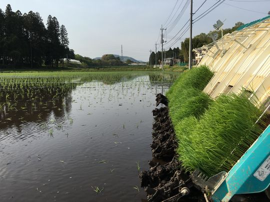 住まい手をめぐる．．．