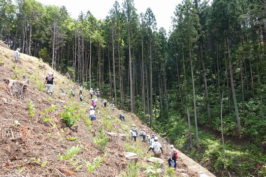 やみぞ杉植林体験．．．