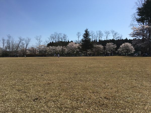気持ちを新たに．．．