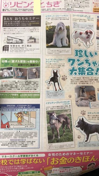 まだまだ予約受付中．．．