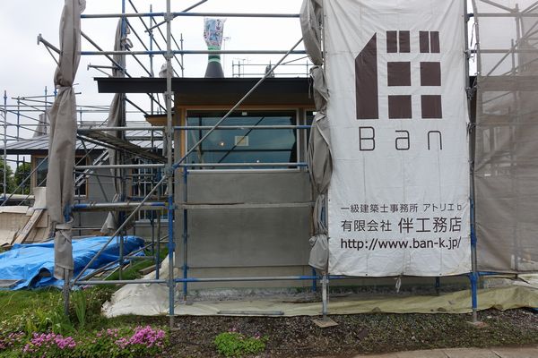 樹皮．．．