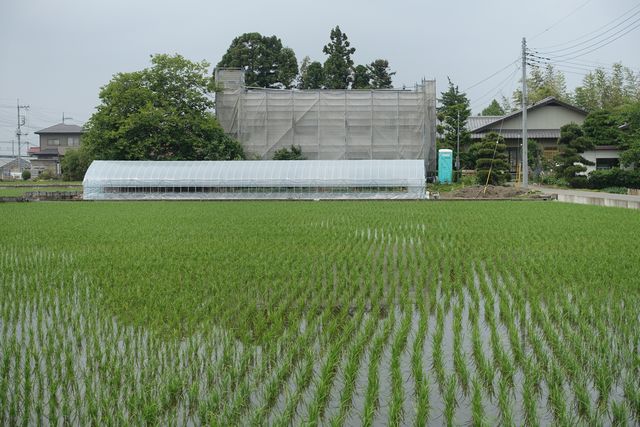 床板の割り付け．．．