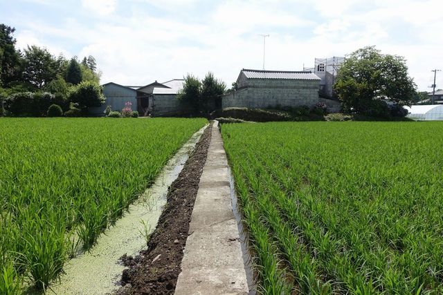 畦道 注文住宅 リフォームのことなら栃木県宇都宮市の伴工務店 畦道 注文住宅 リフォームのことなら栃木県宇都宮市の伴工務店