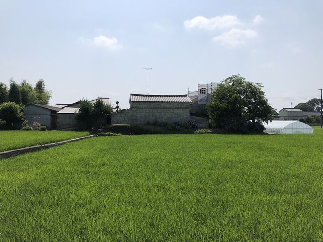 カラマツの縁甲板．．．