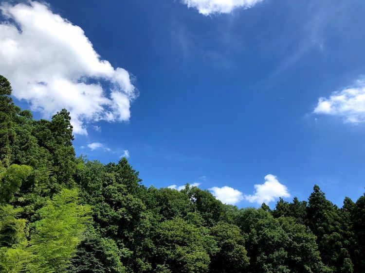 夏モード．．．