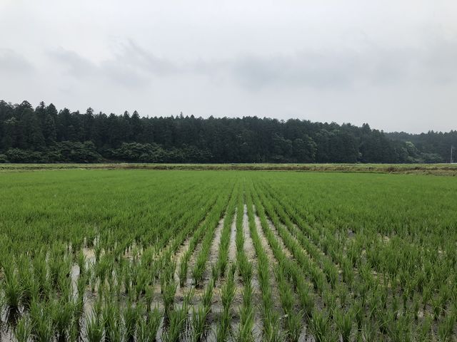 梅雨入り．．．