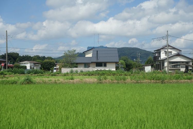 いよいよ日曜日．．．