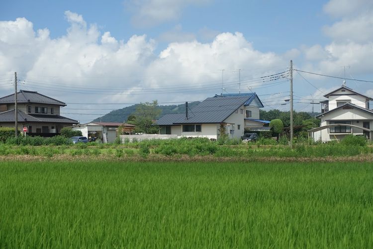 来場のお礼．．．