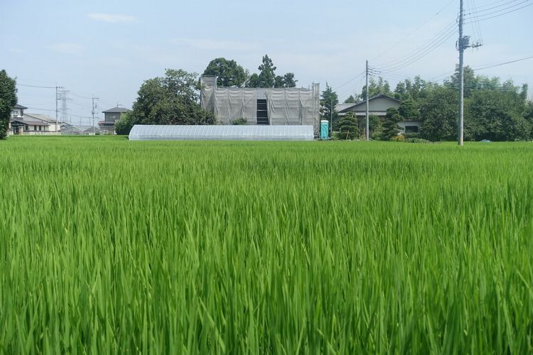 土地探しから家づくり．．．