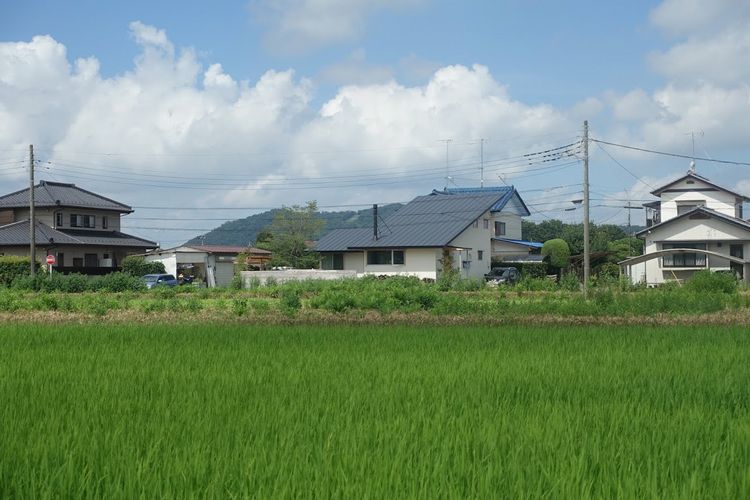 いい感じで予約が入ってきております．．．
