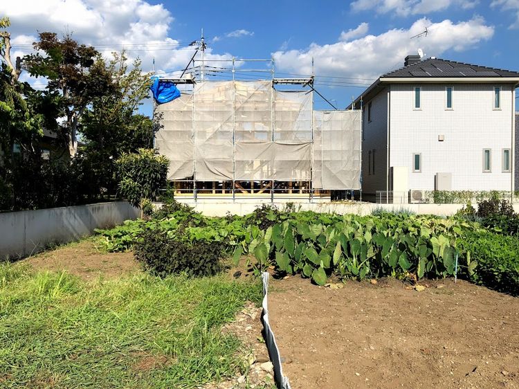 残暑お見舞い申し上げます．．．