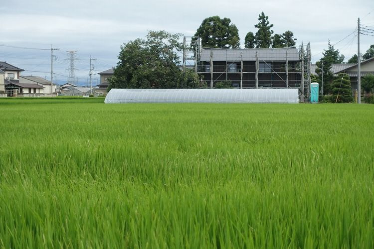 久しぶりにお目見え．．．