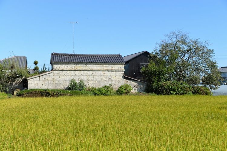 来場のお礼．．．