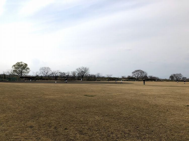 満開で見ごろ．．．