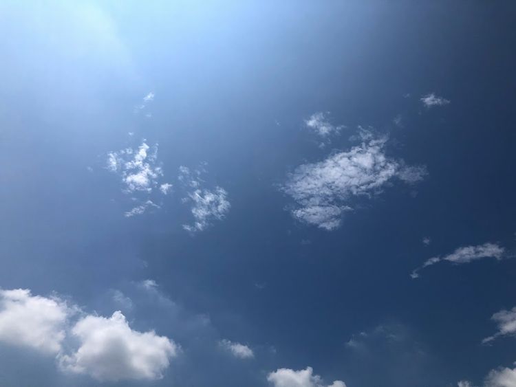 いよいよ夏本番．．．