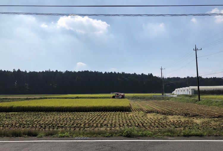 大工には欠かせない道具．．．