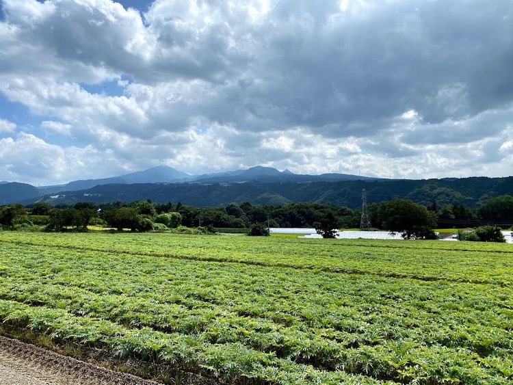 大型木造パネルの工場視察へ．．．