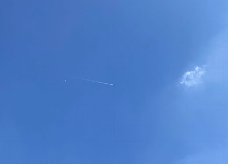 材の役割．．．