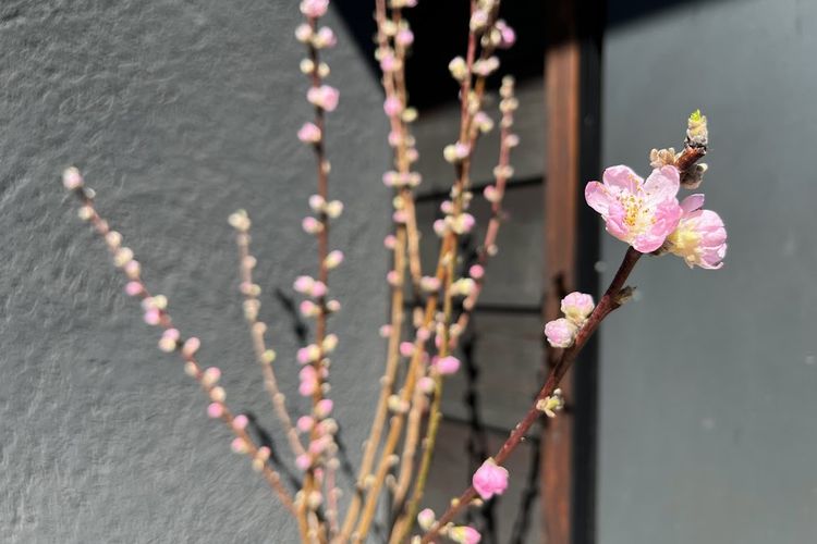性能の着地点．．．