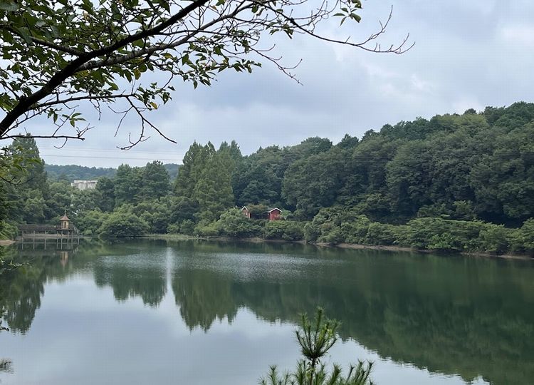 夏休みも終わります．．．