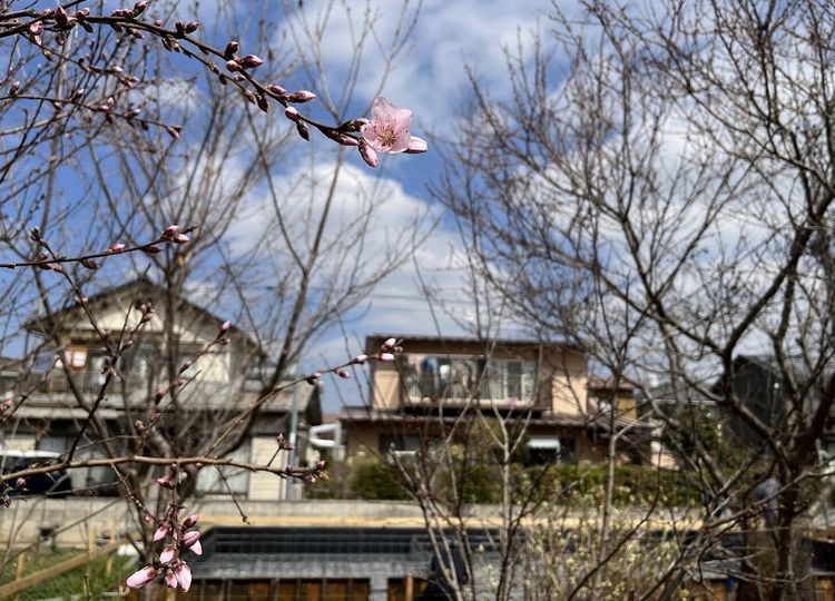 ダブル配筋検査と鎮物埋納．．．