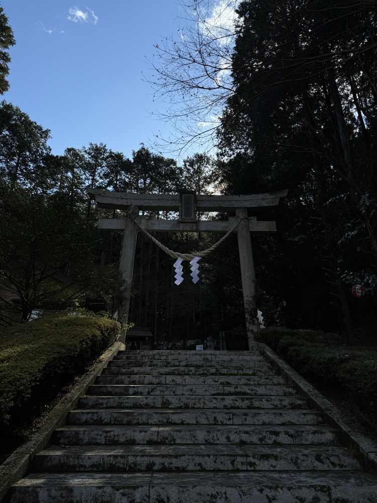 2025年始動。